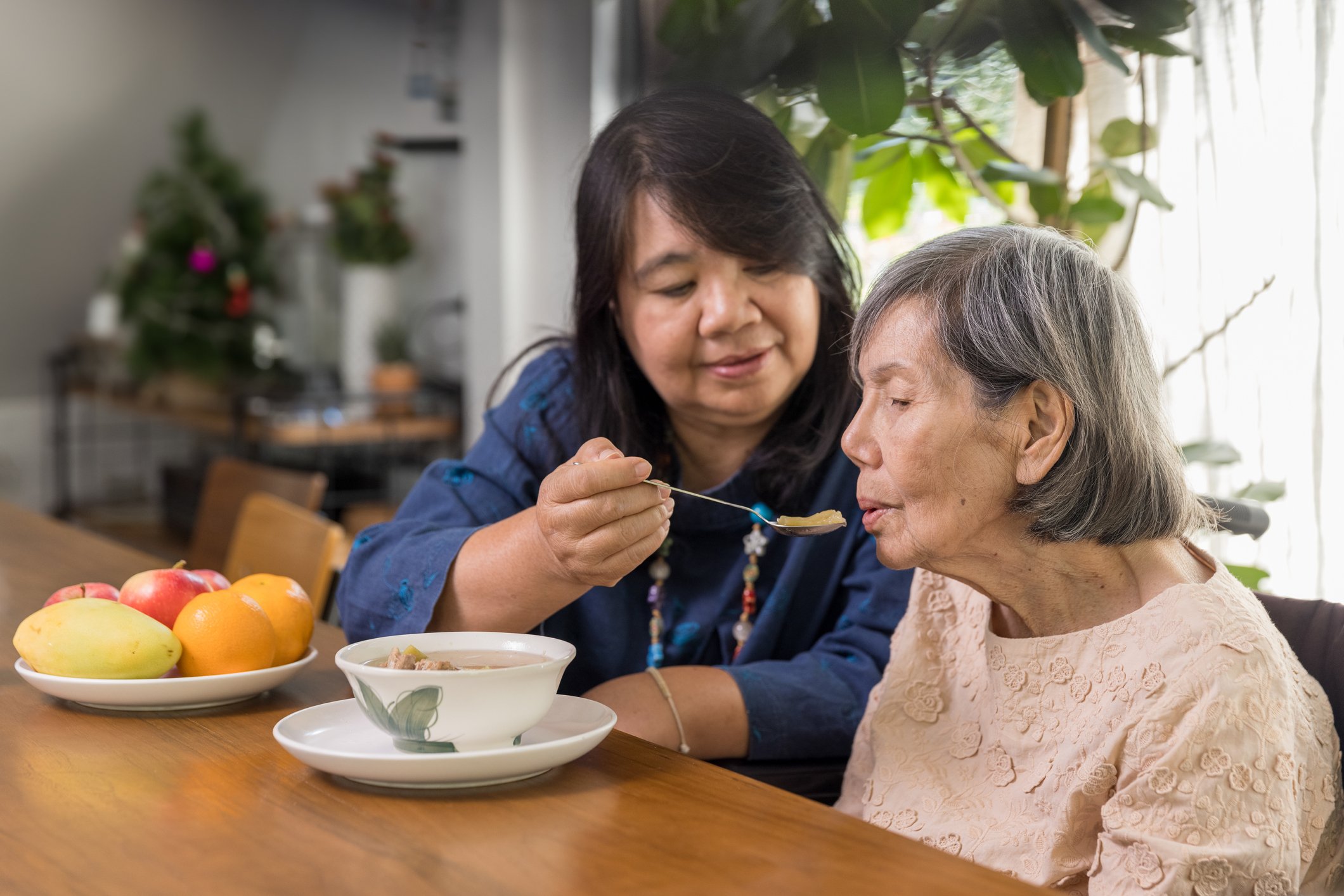 in home caregiver helping elderly client